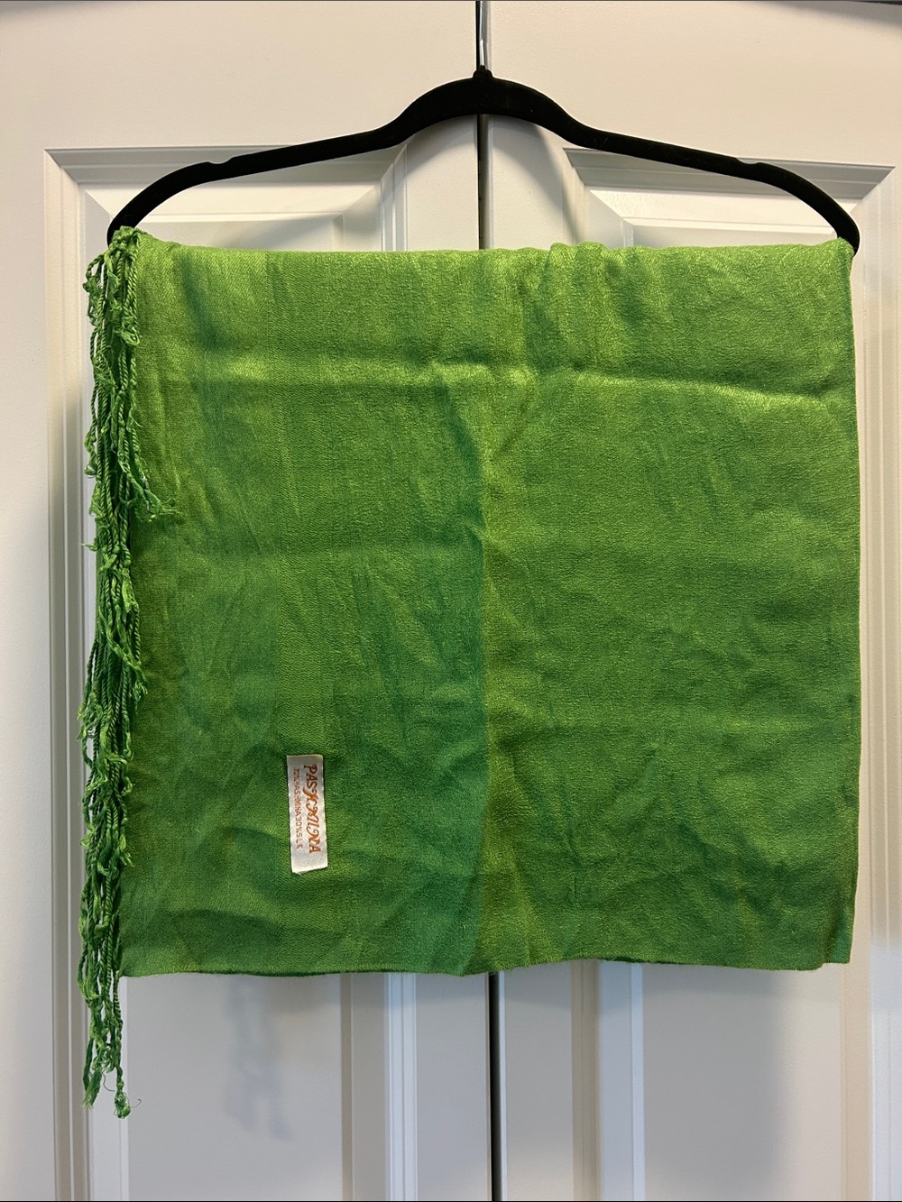 Vibrant Green Pashmina and Silk Fringe Women's Wrap Scarf/Shawl